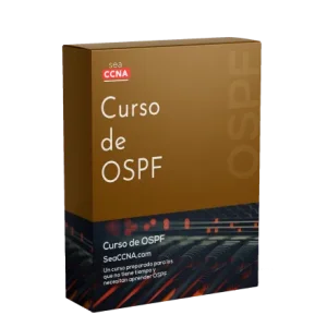 Curso OSPF
