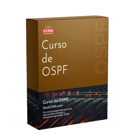 Curso OSPF